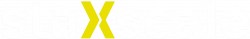 staXscale logo